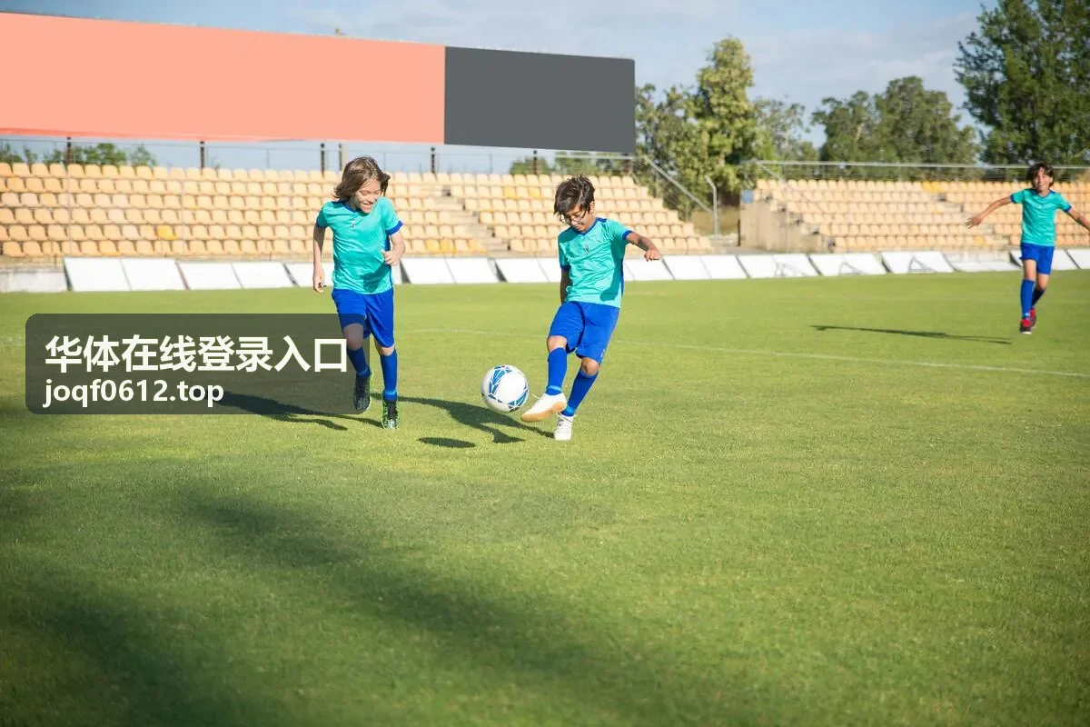 华体在线登录入口地址核对环节页面示意