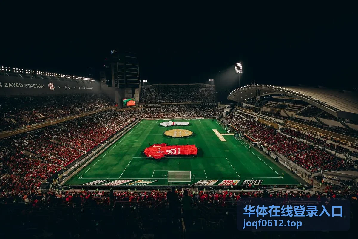 华体在线登录入口的地址核对与账号填写顺序示意
